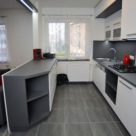 Apartman Zuzka Есеник Экстерьер фото